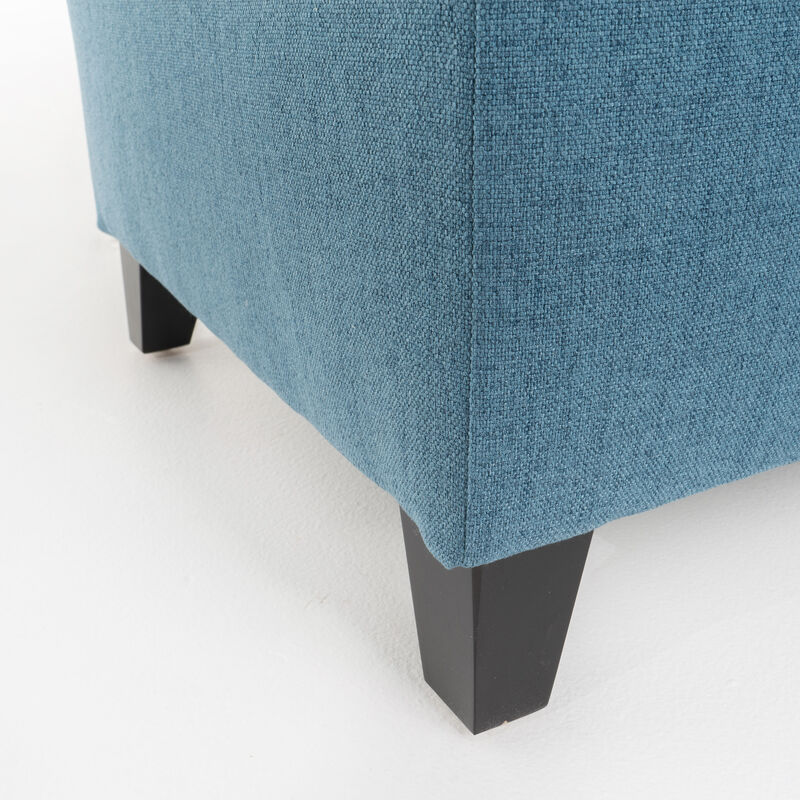 Meraxt Storage Ottoman Bench for Living Room, Bedroom