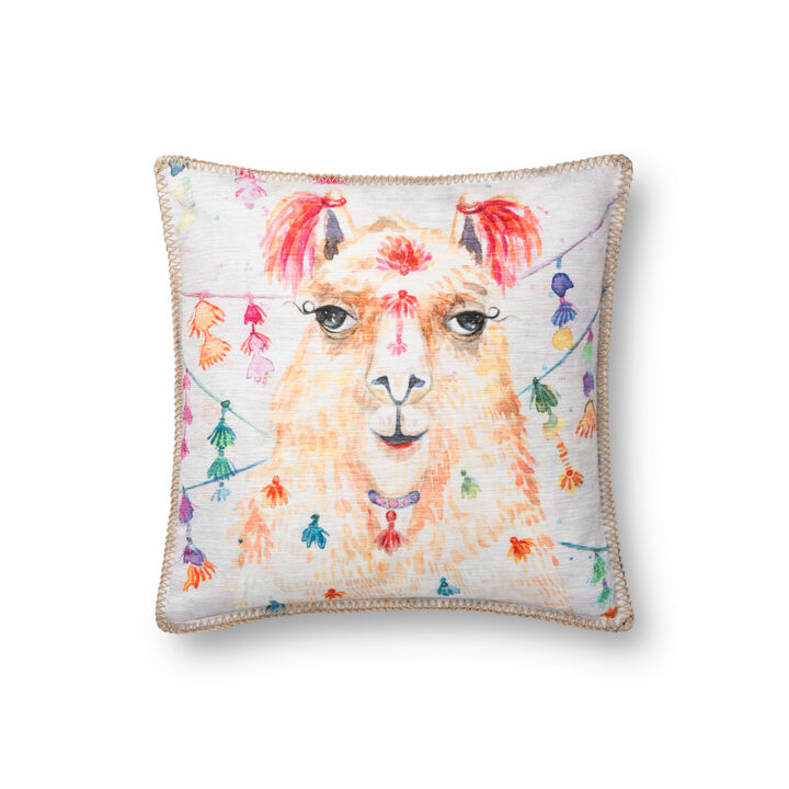 P0741 Multi 18"x18" Pillow