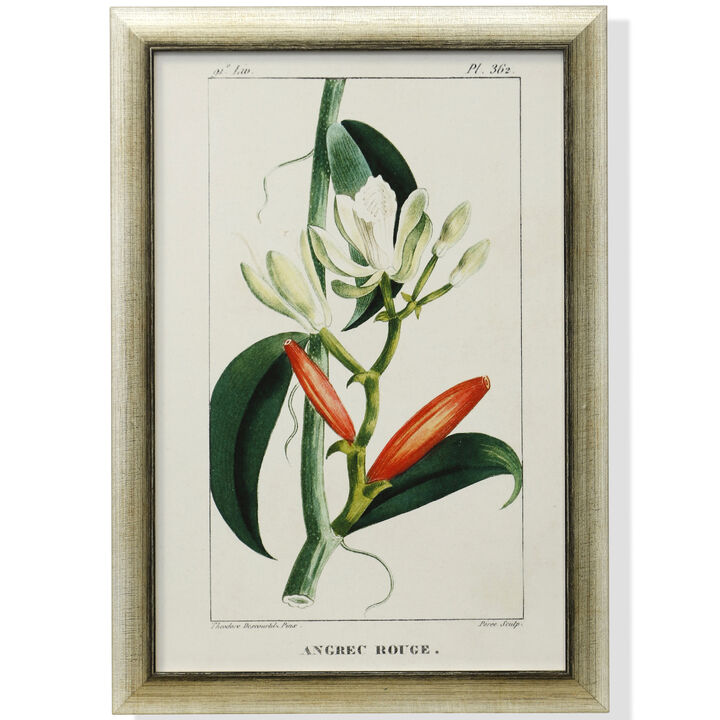 Framed Print Under Glass