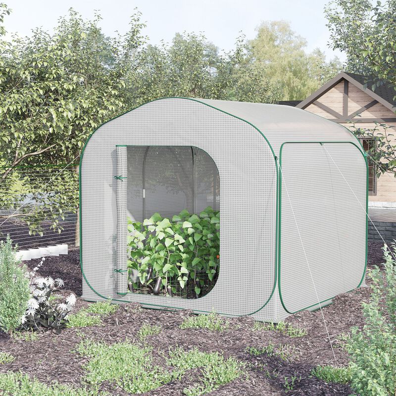 Instant 7' x 6' Backyard Pop-Up Greenhouse, Portable for Tropical Plants, White
