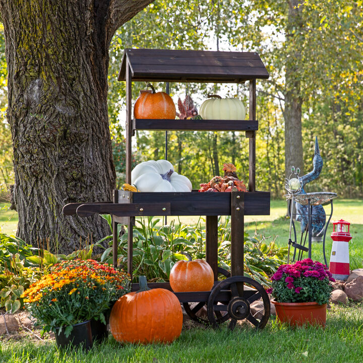 Country Market Flower Stand Raised Garden Bed