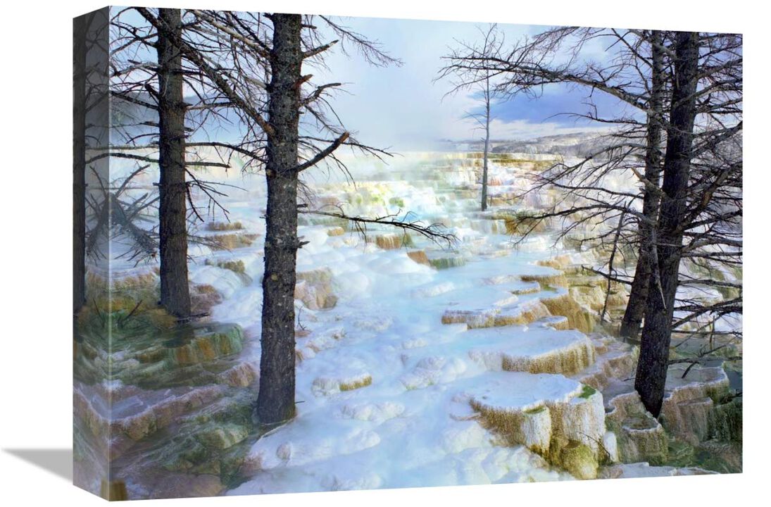 Travertine formations, Minerva Terrace, Mammoth Hot Springs, Yellowstone NP-Canvas Art-16x12