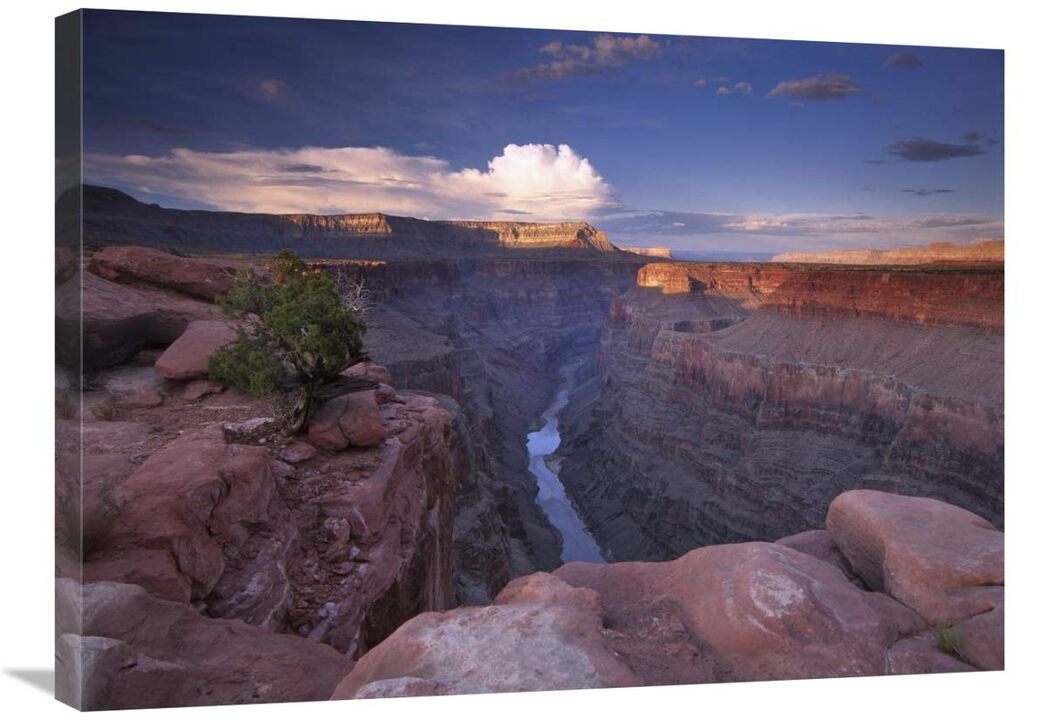 Colorado River from Toroweap Overlook, Grand Canyon National Park, Arizona-Canvas Art-32x24