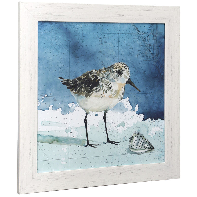 Sandpiper I Framed Print