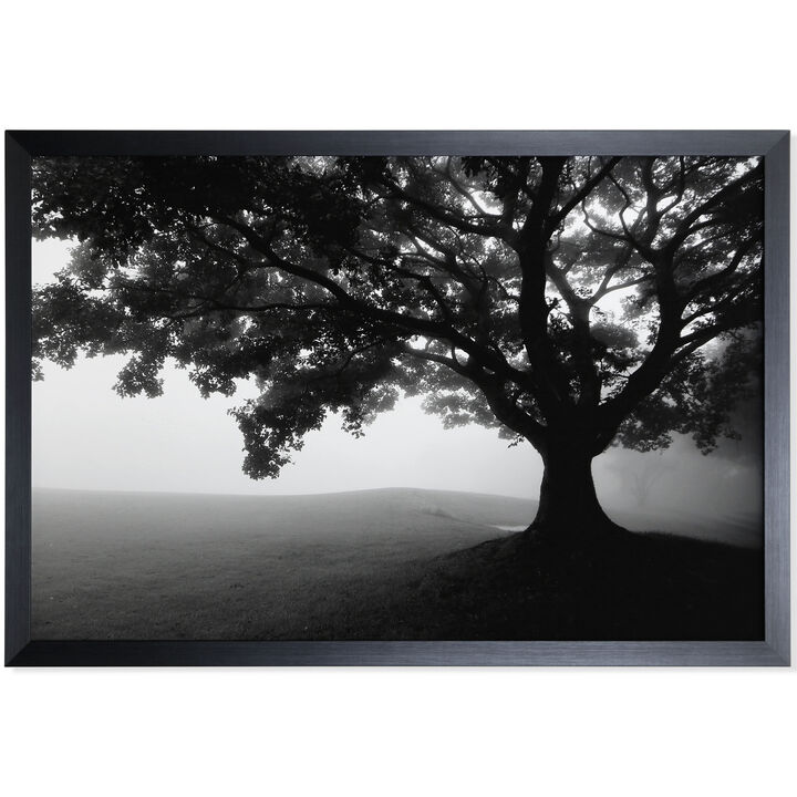 Framed Print Under Glass