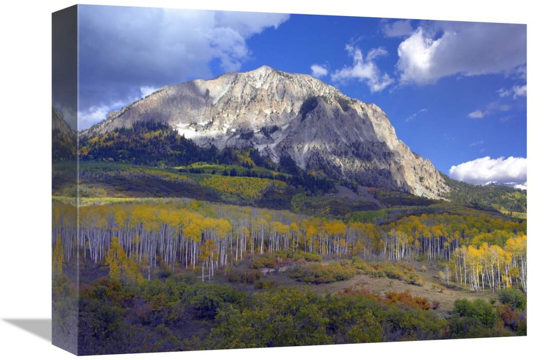 Fall colors at Gunnison National Forest, Colorado-Canvas Art-16x12