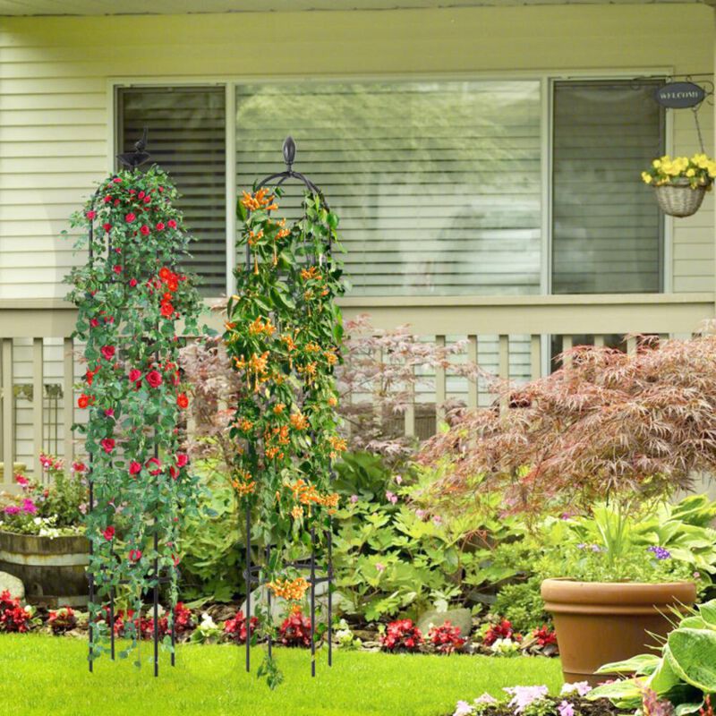Hivvago 2-Pack Garden Obelisk Trellis for Climbing Plants