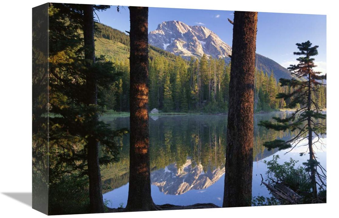 Mt Moran reflected in String Lake, Grand Teton NP, Wyoming-Canvas Art-16x12