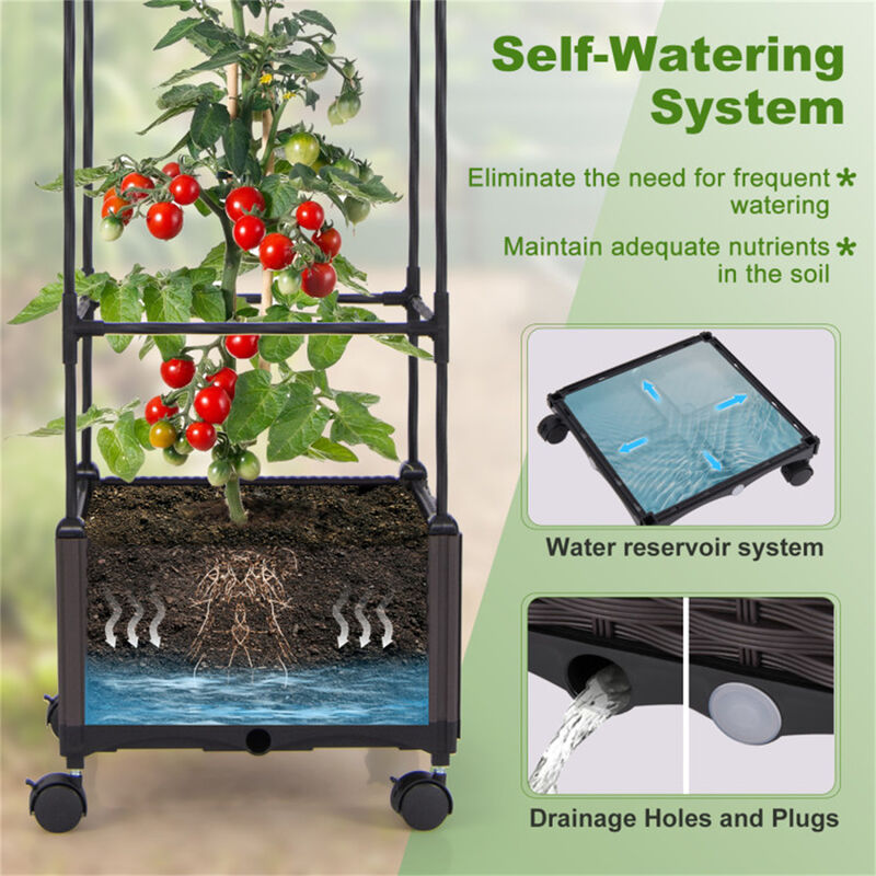 Garden Bed with Trellis Raised Planter Box with Climbing Plant Support for Outdoor Gardens
