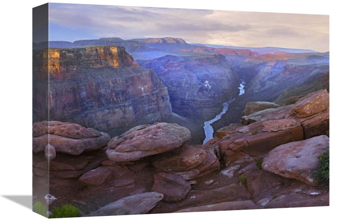 Toroweep Overlook view of the Colorado River, Grand Canyon National Park, Arizona-Canvas Art-16x12