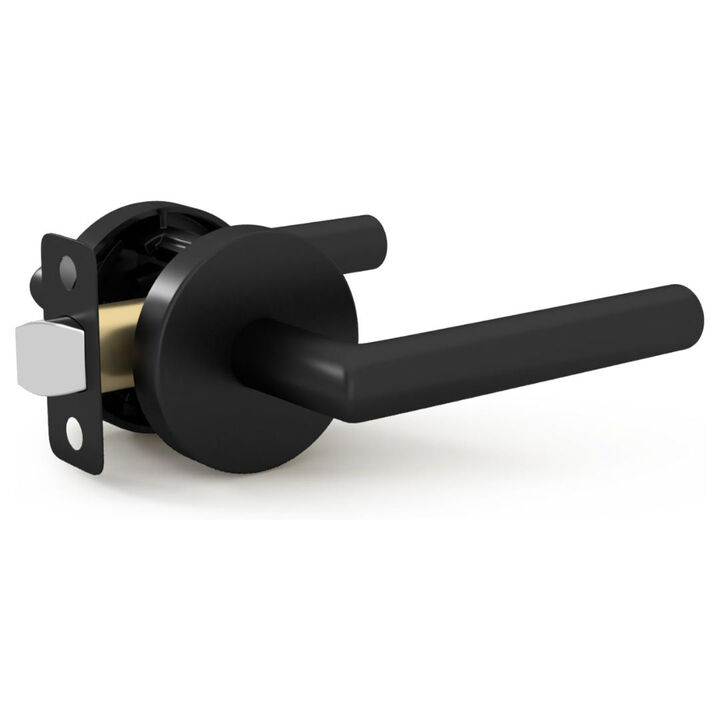 Mega Handles | Ronn Passage Lever