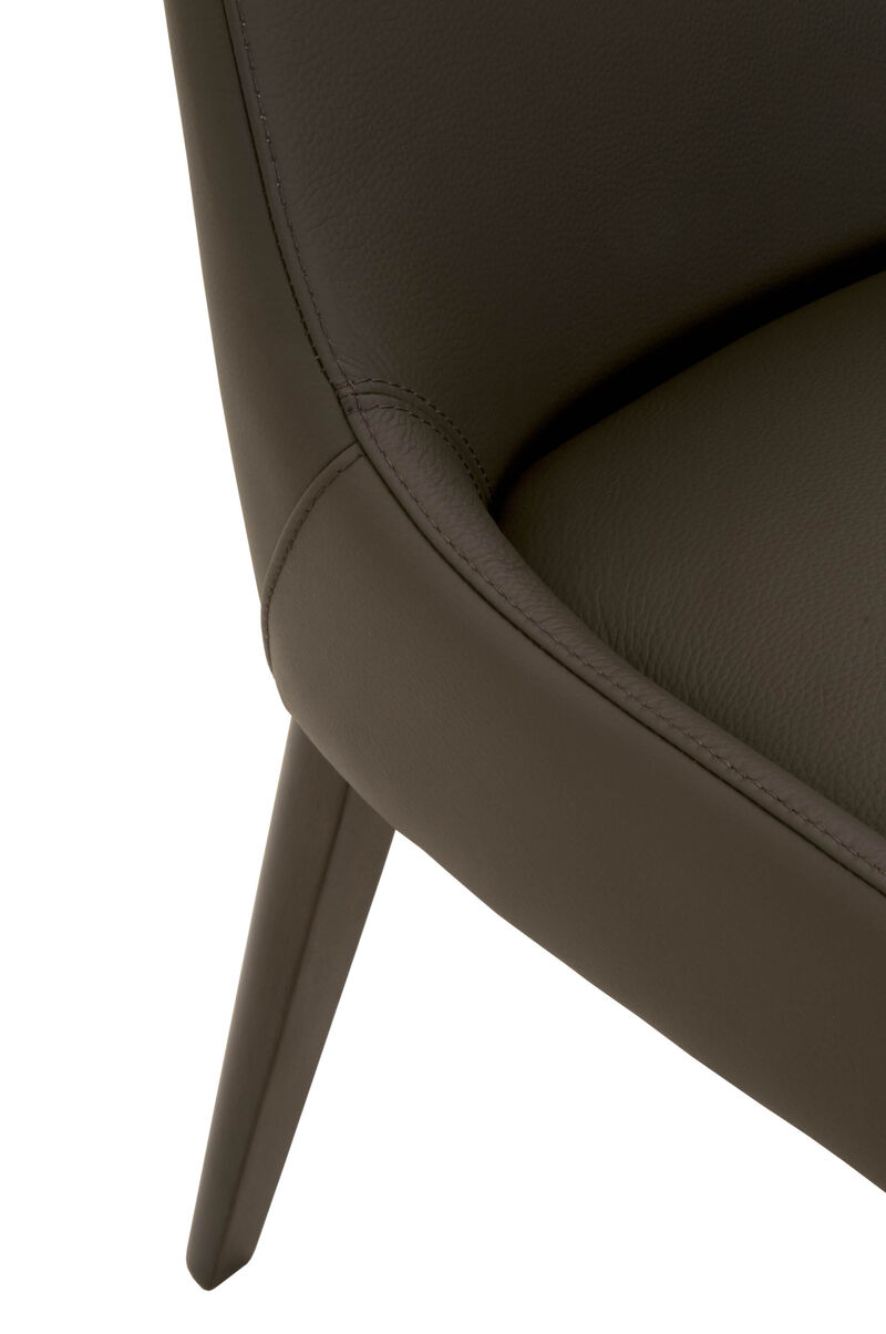 Aurora Dining Chair (Set of 2)