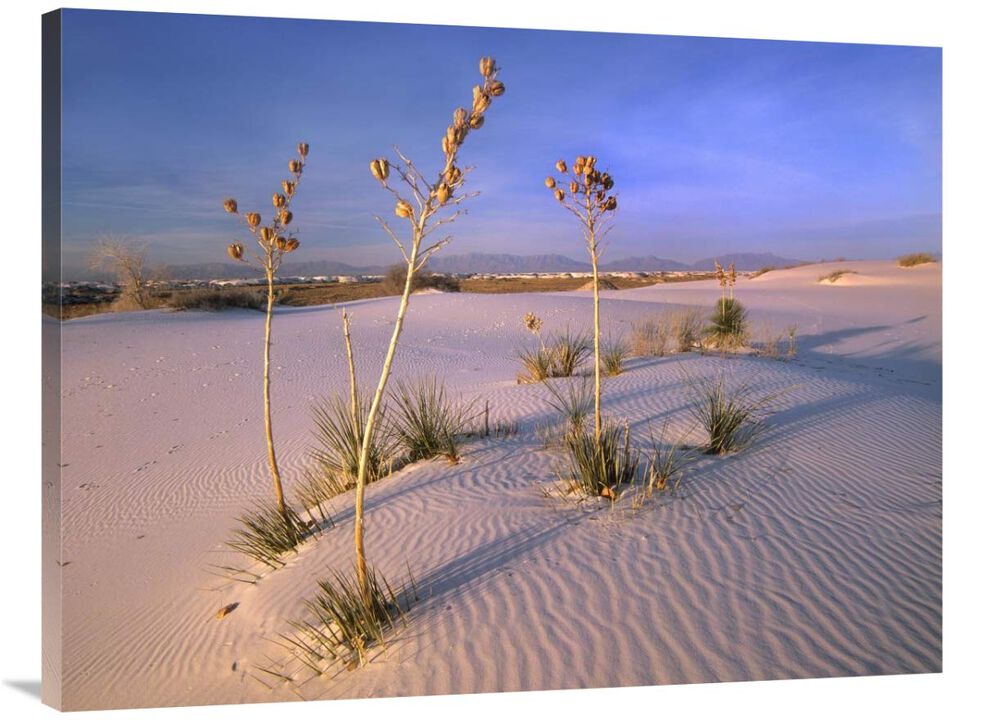 White Sands National Monument, New Mexico-Canvas Art-40x30
