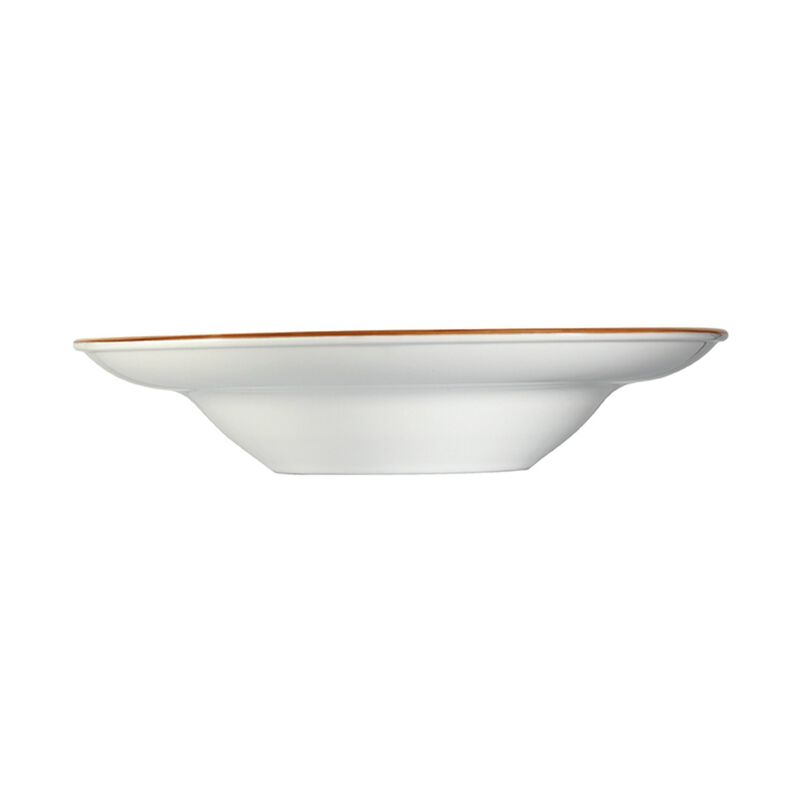 Grain dia.10.75" h:2.25" 16 oz. Round Decorated Porcelain Bowl (Set of 2)