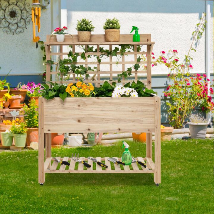 Hivvago Wooden Raised Garden Bed with Wheels Trellis and Storage Shelf
