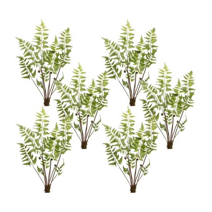 Variegated Fern Bundle with Sprout Accents for Lush Home Décor and Floral Arrangements (Set of 6)