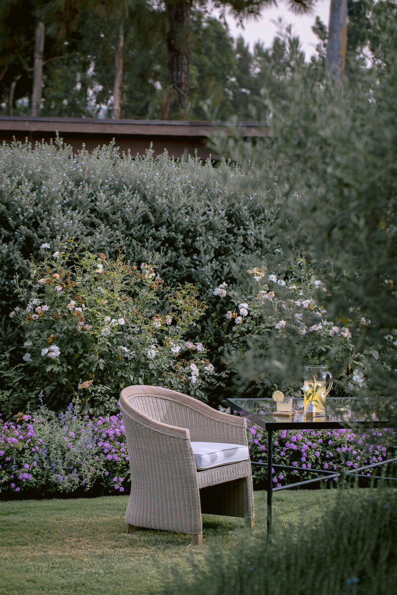 Cambria Dining Chair