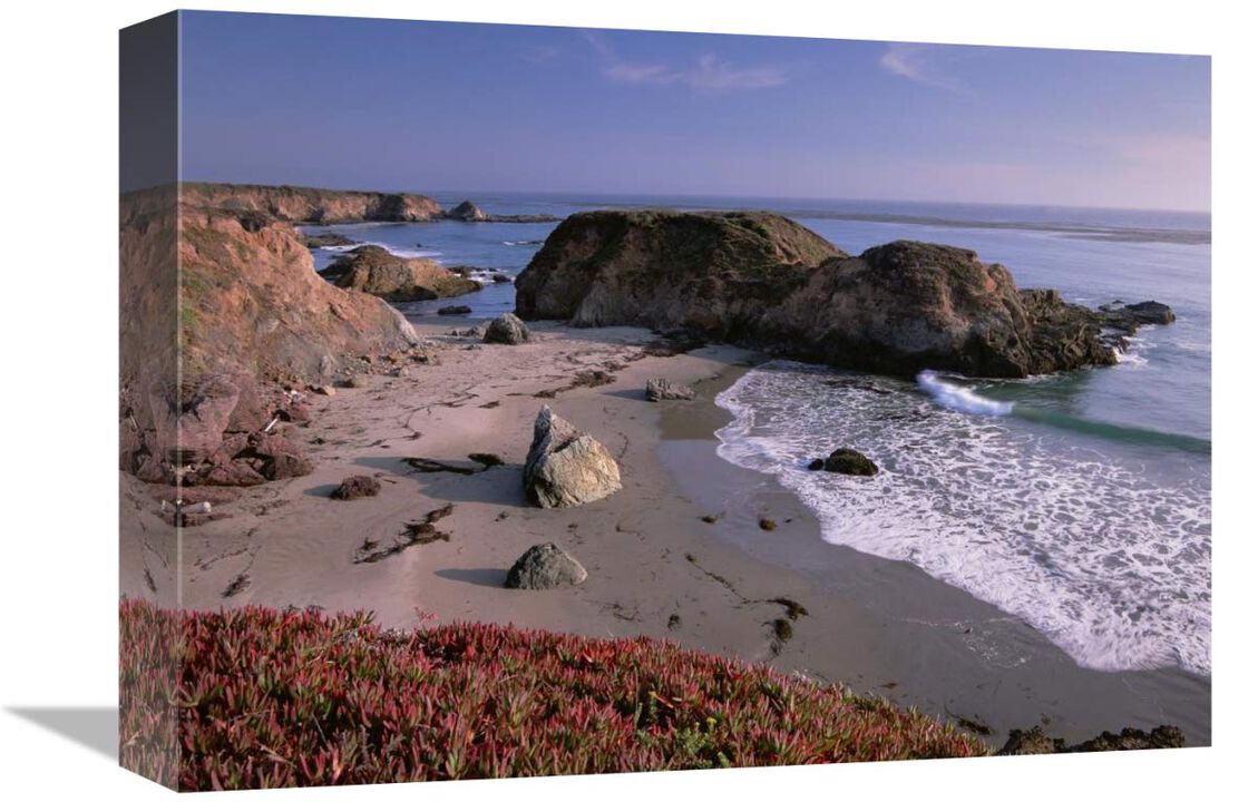 Beach near San Simeon Creek with ice plant in the foreground, Big Sur, California-Canvas Art-16x12