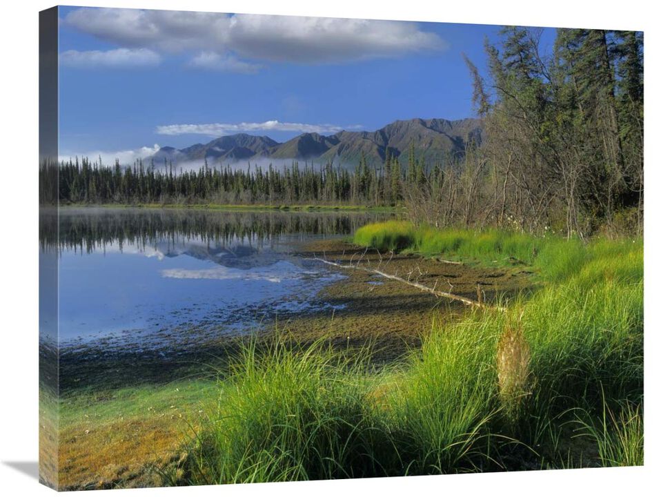Nutzotin Mountains and boreal forest reflected in receding lake, Alaska-Canvas Art-28x22