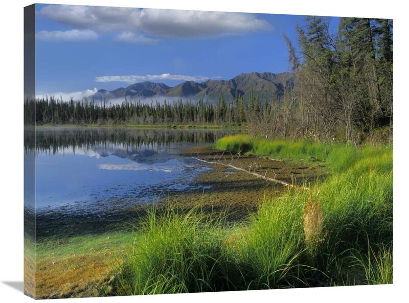 Nutzotin Mountains and boreal forest reflected in receding lake, Alaska-Canvas Art-28x22