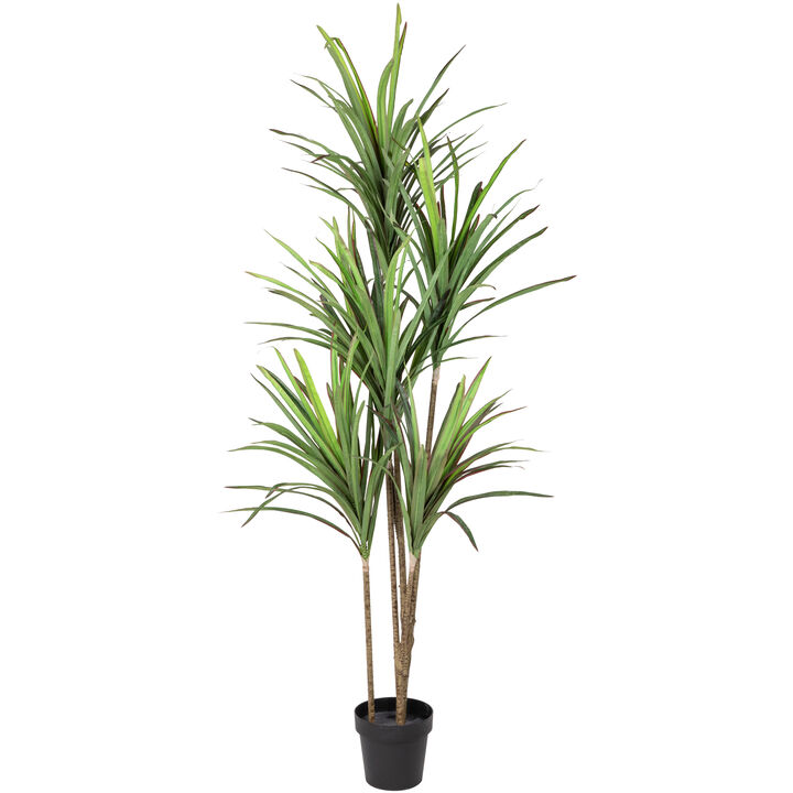 5.5' Green Artificial Dracaena Marginata Plant in Black Pot