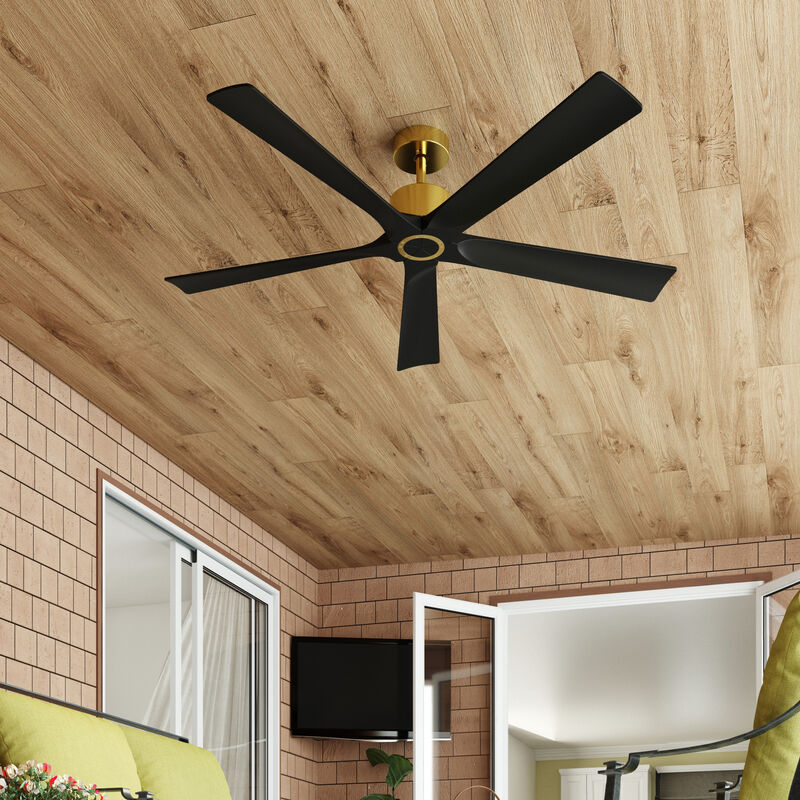 FUFU&GAGA Ceiling Fan 30-in with Black Blades Indoor/Outdoor Ceiling Fan Remote (5-Blade),Black
