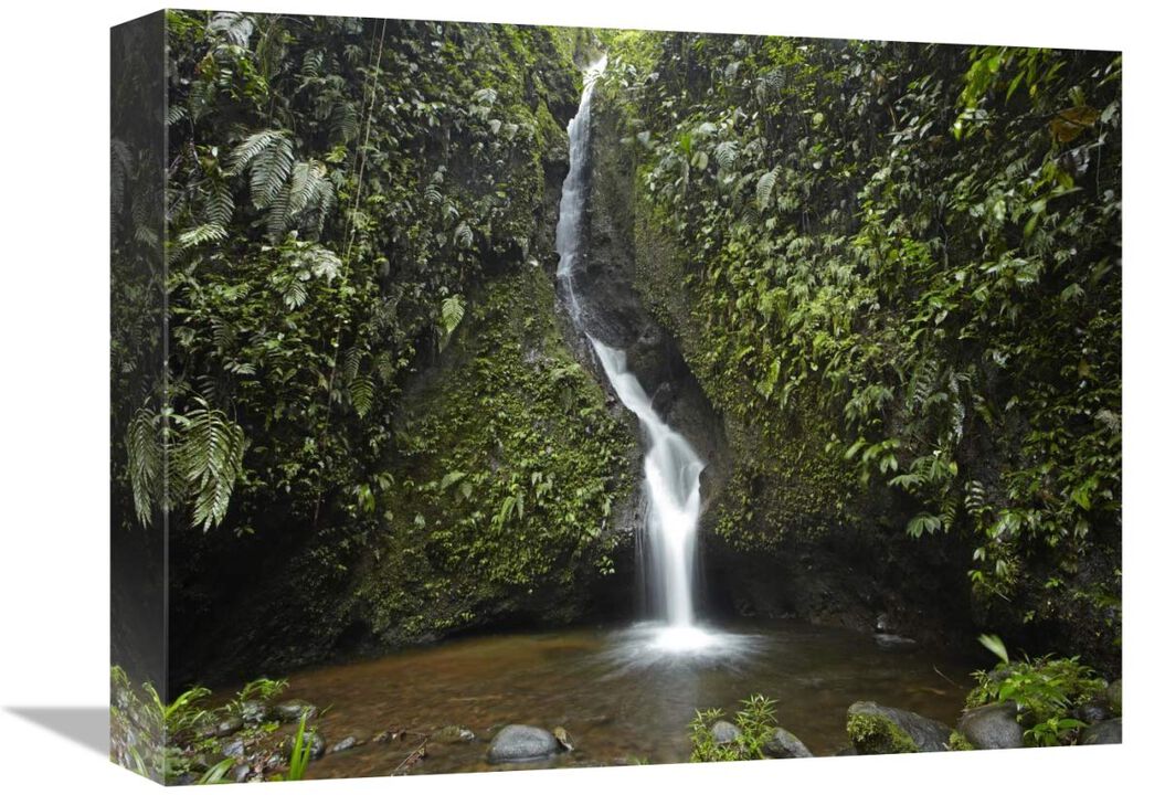 Waterfall in the Milpe Bird Sanctuary, Mindo Cloud Forest, Ecuador-Canvas Art-16x12