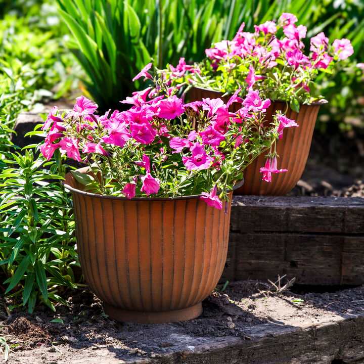 Carlotta Metal Outdoor Planter Set of 2