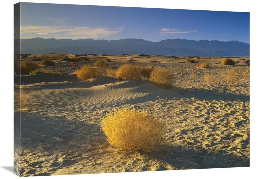 Mesquite Flat Sand Dunes, Death Valley National Park, California-Canvas Art-32x24