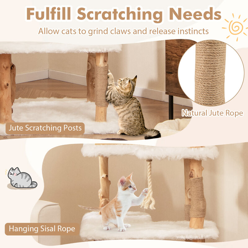 60-Inch Tall Solid Wood Cat Tree, Modern Wooden Cat Tower with 2 Perches for Cats