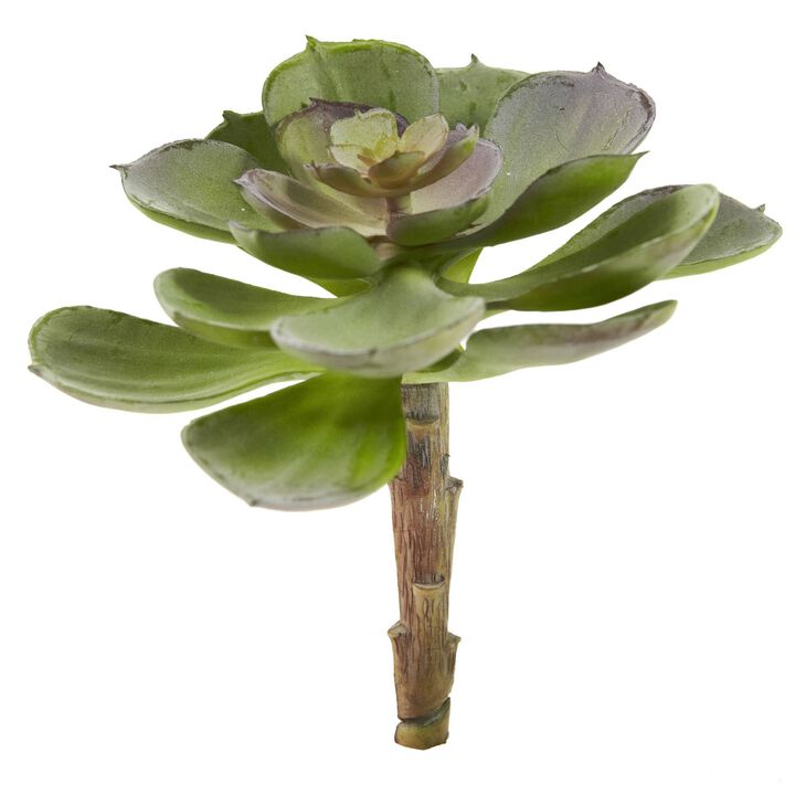 Nearly Natural 5-in Echeveria w/24 Lvs (Set of 12) - Burgundy