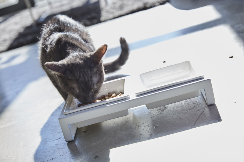 Pet Food Bowl - Two Styles
