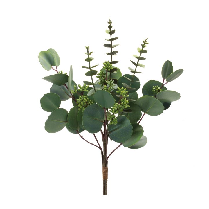 Mixed Eucalyptus Bundle Set of 6 for Floral Arrangements and Home Decor