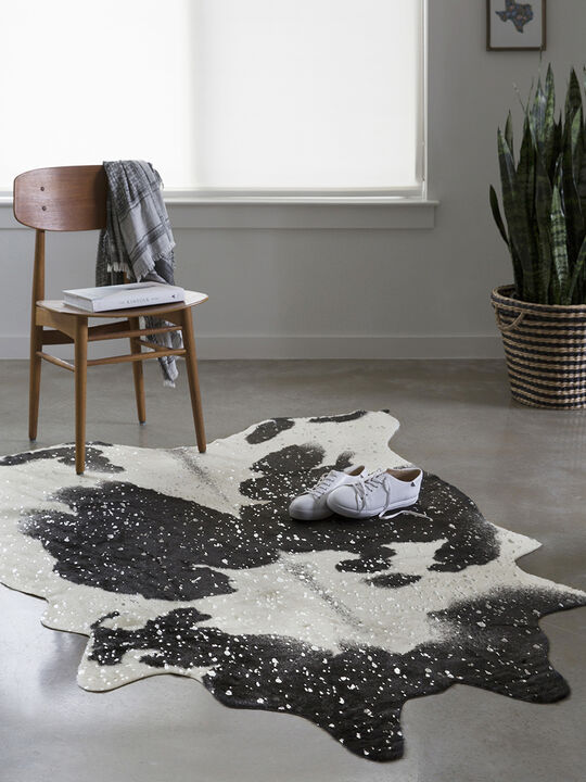 Bryce BZ01 Black/Silver 3'10" x 5' Rug