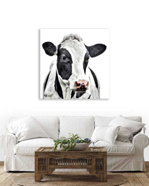 Petunia