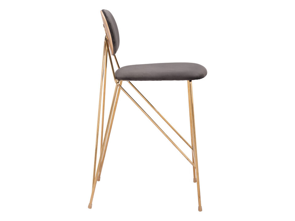 Georges Counter Stool (Set of 2) Gray & Gold