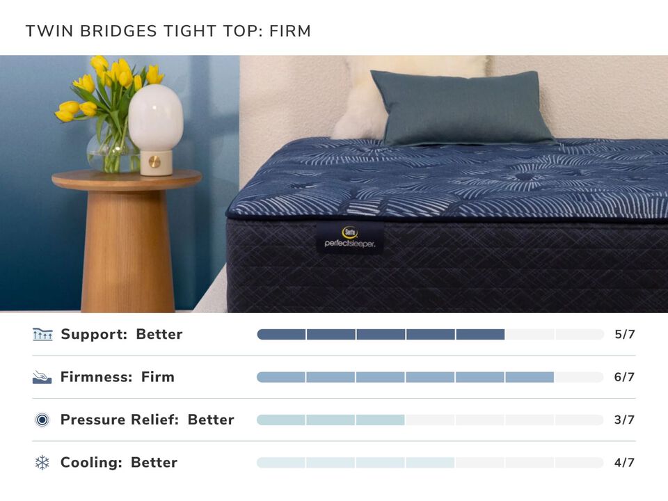 Twin Bridges Firm Twin Mattress