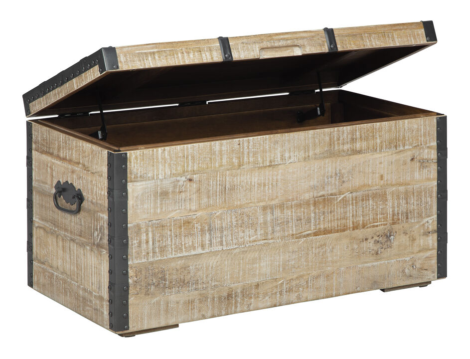 Dartland Whitewash Storage Trunk