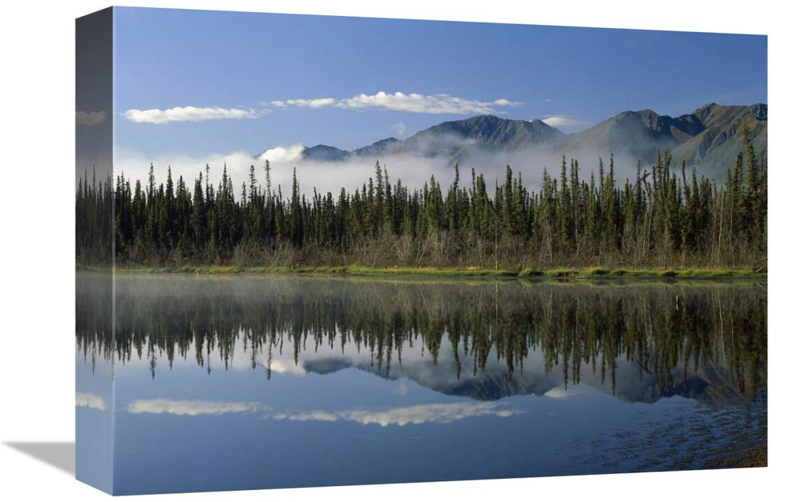 Boreal forest along lake edge, Nutzotin Mountains, Alaska-Canvas Art-16x12
