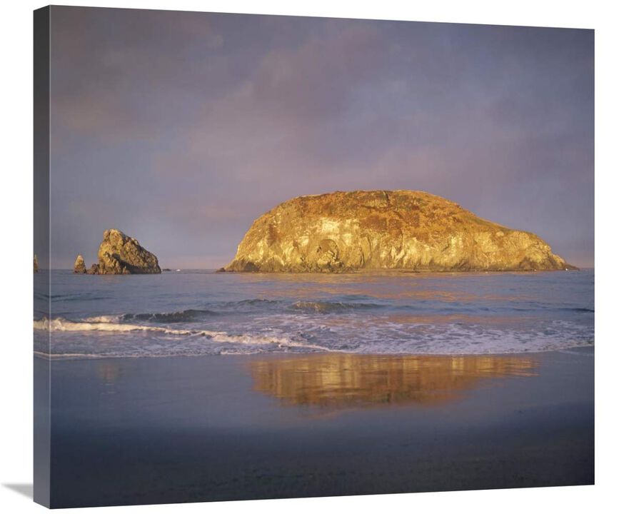 Island, Harris Beach State Park, Oregon-Canvas Art-30x26.7