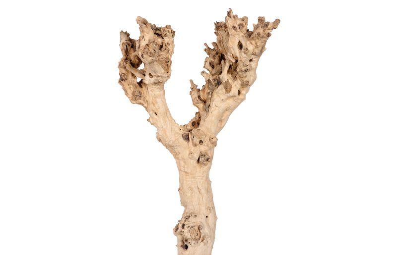 Wood Sculpture