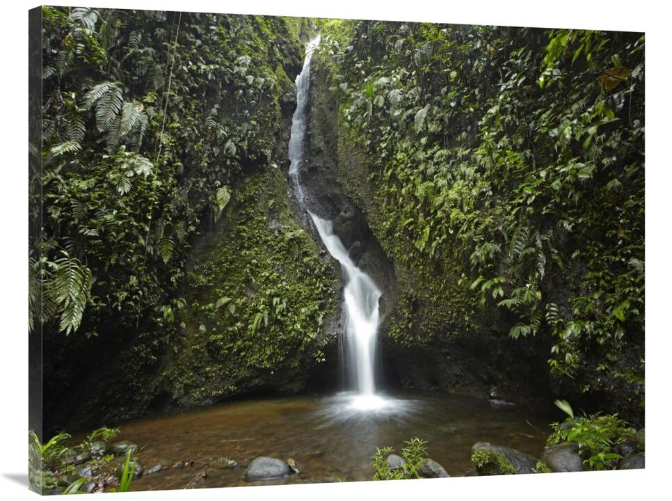 Waterfall in the Milpe Bird Sanctuary, Mindo Cloud Forest, Ecuador-Canvas Art-40x30