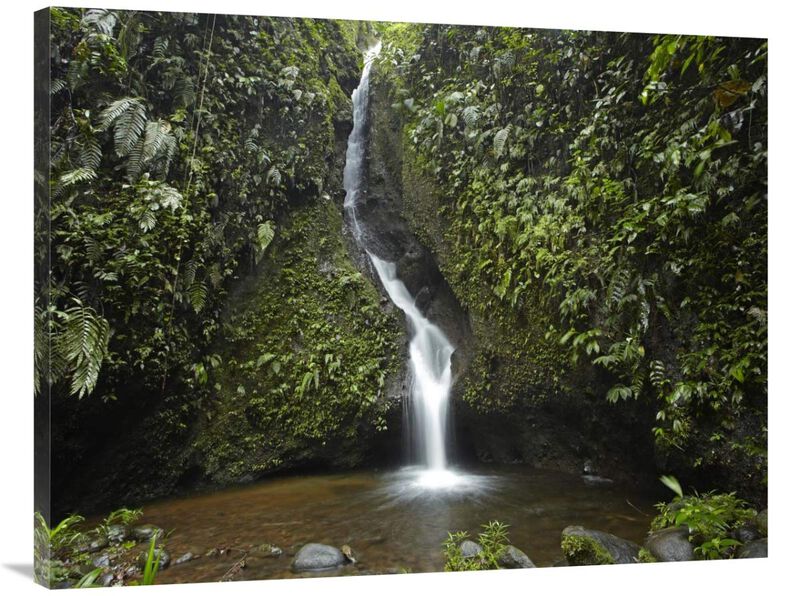 Waterfall in the Milpe Bird Sanctuary, Mindo Cloud Forest, Ecuador-Canvas Art-40x30