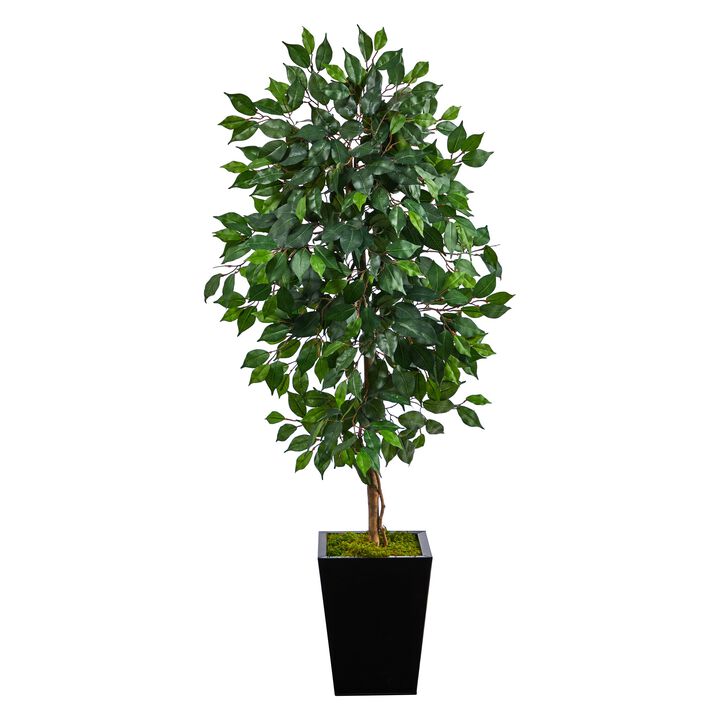 Hivvago 5 Feet Ficus Artificial Tree in Black Metal Planter