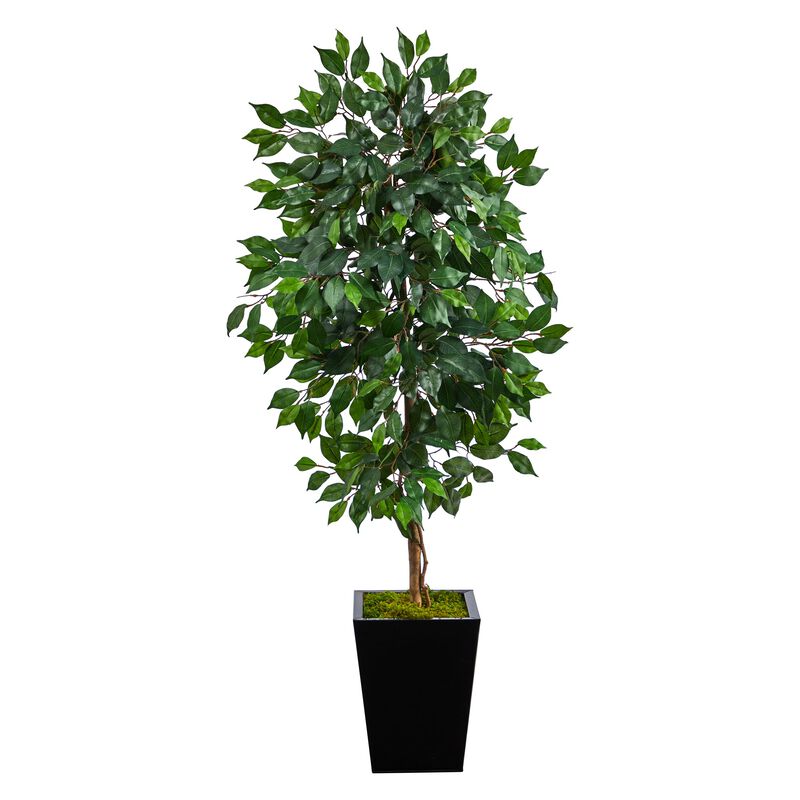 Hivvago 5 Feet Ficus Artificial Tree in Black Metal Planter