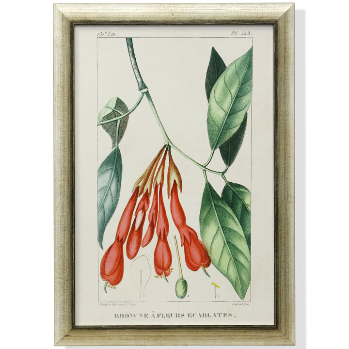 FRAMED PRINT UNDER GLASS