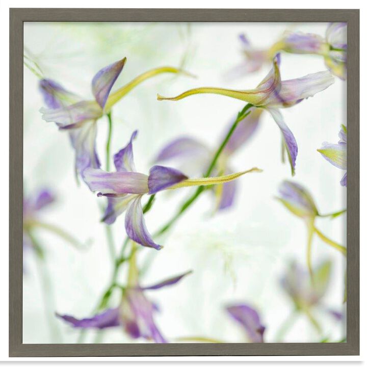 Gentle Dance II Framed Print