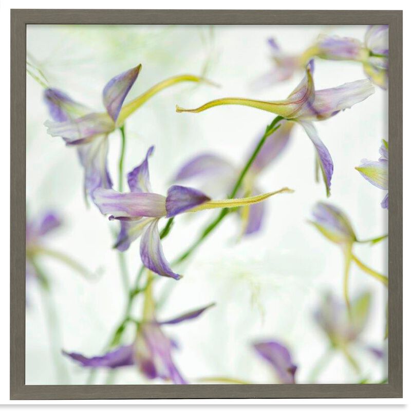 Gentle Dance II Framed Print