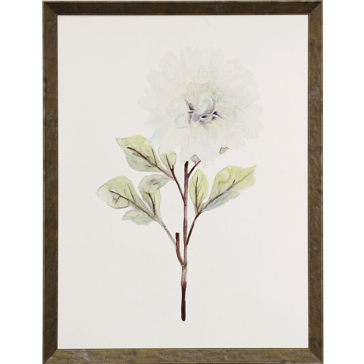 White Blosson I Framed Print
