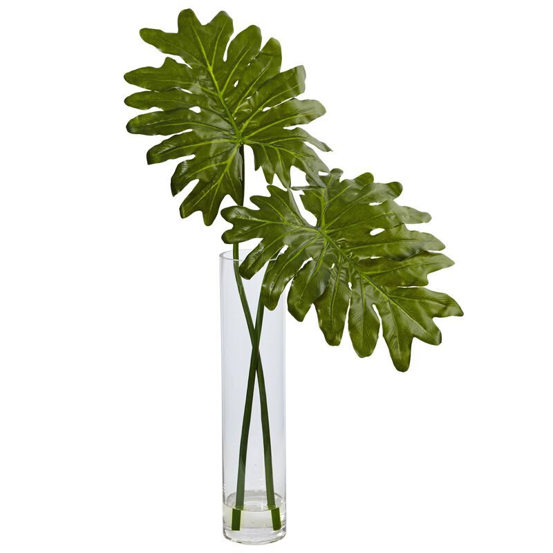 Hivvago Selloum in Cylinder Glass
